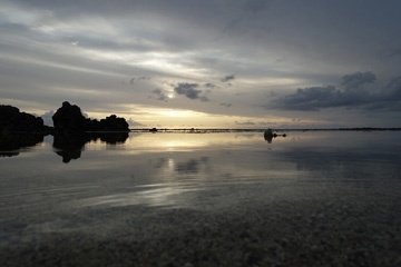 DSC07958a